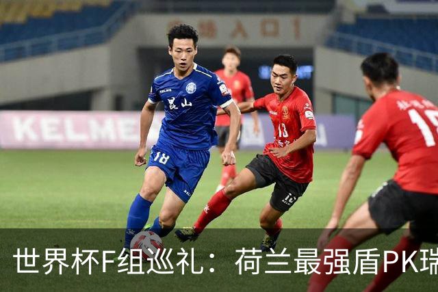 世界杯F组巡礼：荷兰最强盾PK瑞典犀利刀 日本短板明显